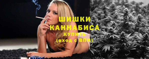 ешки Медногорск