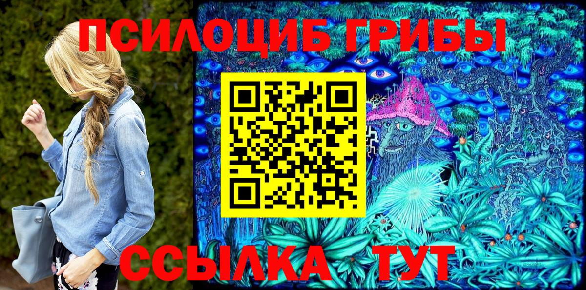 Владимир  Псилоцибиновые грибы Psilocybine cubensis  Вход с VPN 