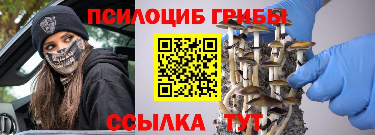 ГАШ Владимир